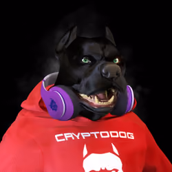 Cryptodog #5058