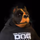 4643