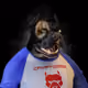 4735