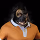 6783
