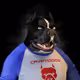 6778