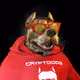 6782