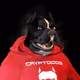 7596