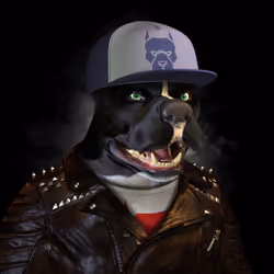 Cryptodog #6574