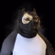 4006