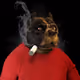 4577