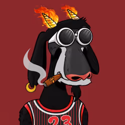 Rare Jordan