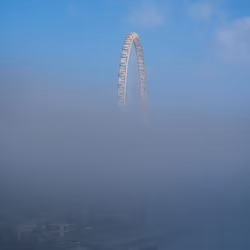 43