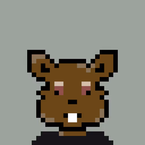 Bunnys Passport