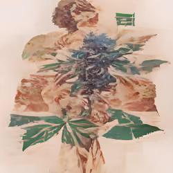 Botanical Machines #235