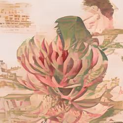 Botanical Machines #264