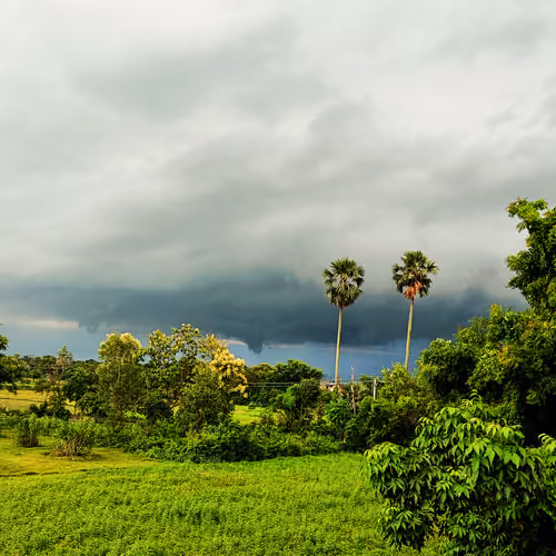 Natural Beauty of an Indian Village #8
