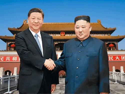 Xi Kim Digital Trading Cards