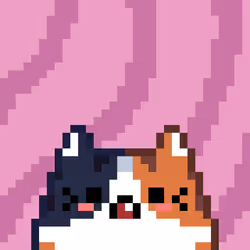 Feline Friend #213