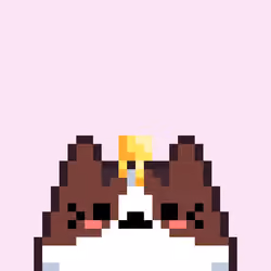 Feline Friend #6342