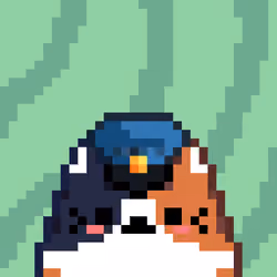 Feline Friend #5476