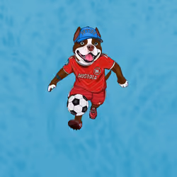 Hyper Sportdog #205