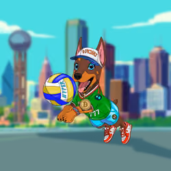 Hyper Sportdog #21