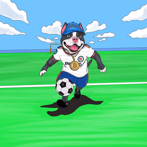 Hyper Sportdog
