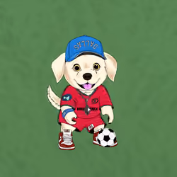 Hyper Sportdog #1262