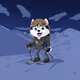 Hyper Sportdog #603