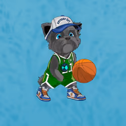 Hyper Sportdog #1195