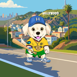 Hyper Sportdog #100