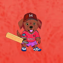 Hyper Sportdog #73