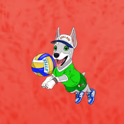 Hyper Sportdog #1197