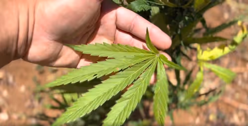 Item #108427181000428790464125902140314011053041575457259647097415901476283899445335 Media