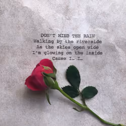 Love Letter #16