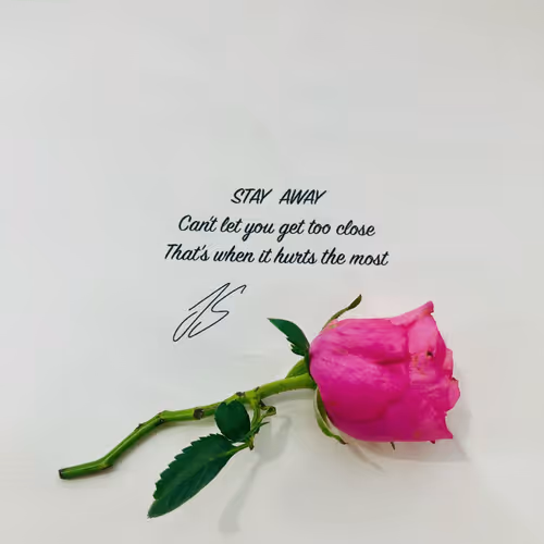 Love Letter #377