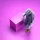 62
