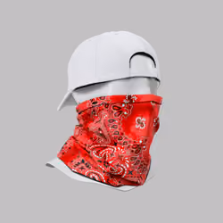 Incognito #9274