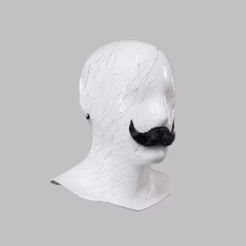 Incognito #2684
