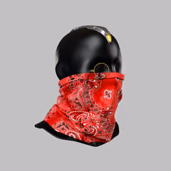 Incognito #4541