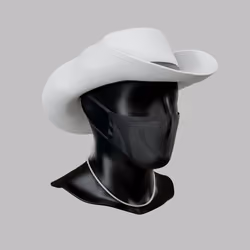 Incognito #9702