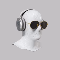 Incognito #9829