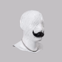 Incognito #9084