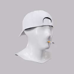 Incognito #4722
