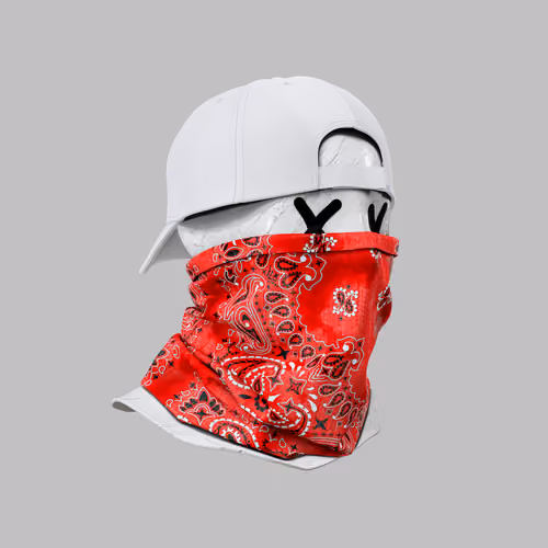Incognito #3220