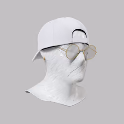 Incognito #4033