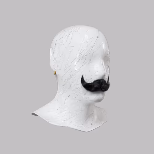 Incognito #8335