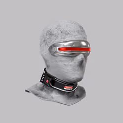 Incognito #4827