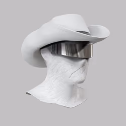 Incognito #1584