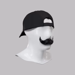 Incognito #8517