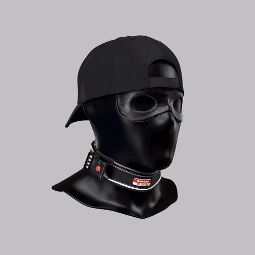 Incognito #231