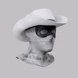 Incognito #3503