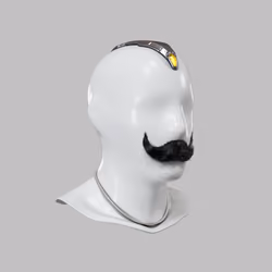 Incognito #3568