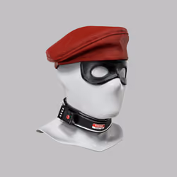 Incognito #5672